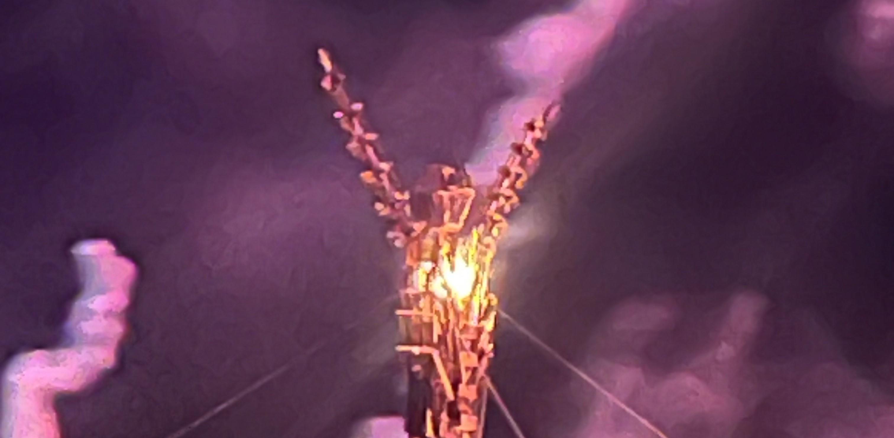 TIES 2025 - Cover Image
